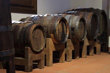 1.5-hour Traditional Italian Balsamic Vinegar Tasting Tour in Parma