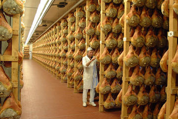 2-hour Parma Ham Farm Tour and Tasting Tour