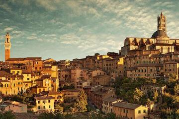 Cortona: Special Tuscan dinner