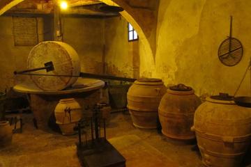 Extra Virgin Olive Oil Tour with Lunch in Umbria