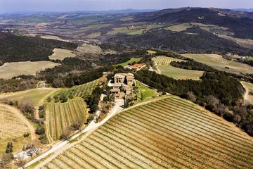 Montalcino Wine Tasting with Light Lunch