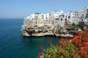 Puglia: classic wine tour with tasting