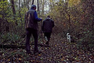 Truffle Hunting in Siena countryside