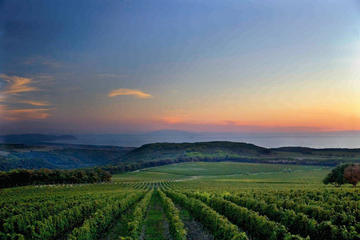 Tuscany wine tasting: appetizer and lunch on hillside