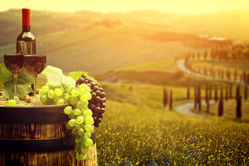 Tuscany wine tasting in a breath-taking estate