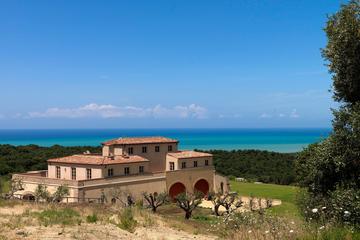 Tuscany Wine Tasting with Appetizer on Hillside Vineyards