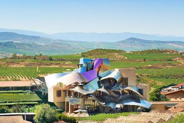 Wine Tour and Tasting at Bodegas del Marqués de Riscal