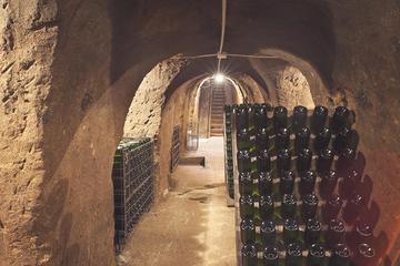 Zagarolo, Learn a new tasting approach in a family winery