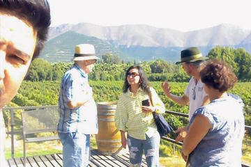 Aconcagua Private Wine Lovers Premium Tour