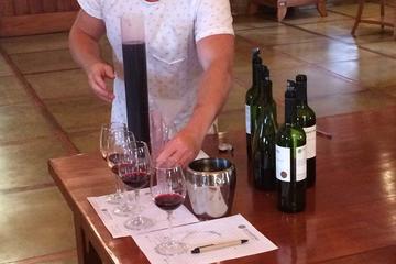 Half-Day Private Be a Winemaker for a Day Experience from Santiago