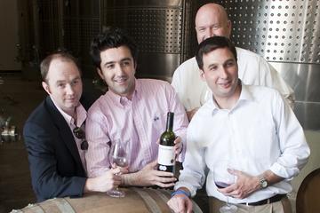 Private Half-Day Tour to De Martino Winery from Santiago