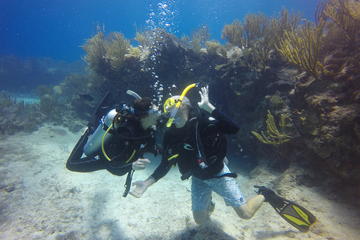 Discover Scuba in Cenote and Ocean Dive