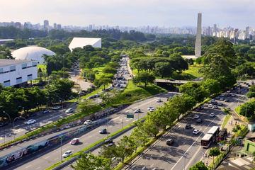 Guided Art and Cultural Walking Tour of Ibirapuera Park
