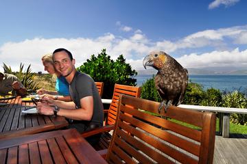 Kapiti Island Day Tour
