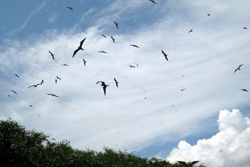 10-Day Trip to the Huaorani Community in the Ecuadorian Amazon