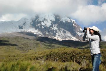 3-Day Andean Train and Volcanoes