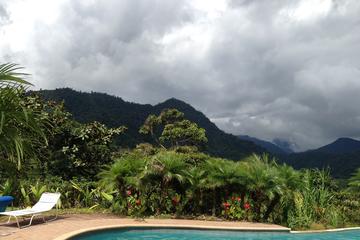Ecuadorian Coffee and Cacao Tour from Quito