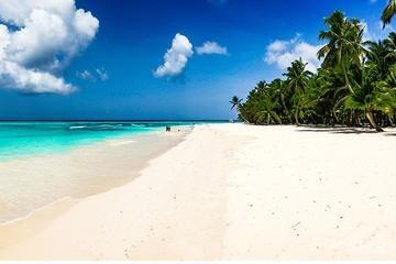 Day Trip Saona Island from Punta Cana