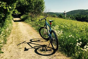Full-Day Rakovica Countryside Bike Tour