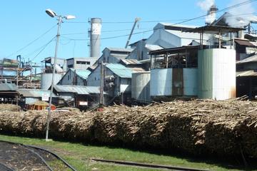 Lautoka Surrounds and Anchestral Tour