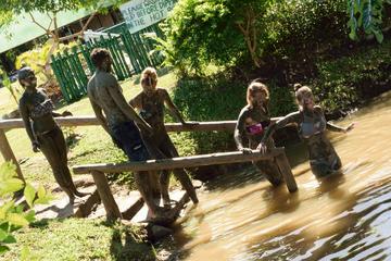 Therapeutic Nadi Tour - Half Day