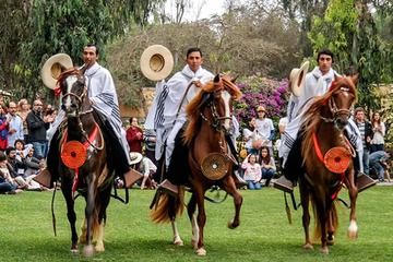 Private Pachacamac Ruins Tour, El Paso Horse Show and Typical Dances from Lima