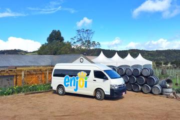 Half-Day Premium Waiheke Wine Tour