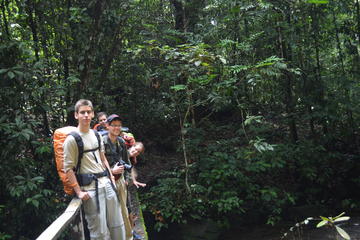 8-Day Rupununi Savanna and Kaieteur Water Falls Adventure from Georgetown