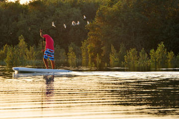 Abu Dhabi Mangroves Stand-Up Paddle Board Guided Tour