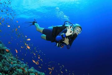 8-Dive Scuba Adventure in Bayahibe