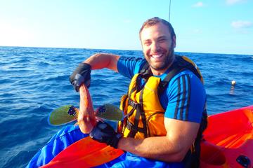 Half-Day Kayaking and Fishing Experience from Tauranga