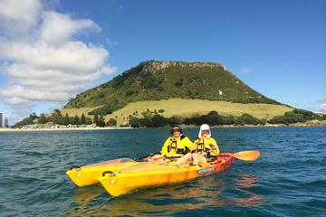 Mount Maunganui Kayaking Adventure