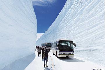 2-Day Tateyama Kurobe Alpine Route, Shirakawago and Hida Takayama Express Train Tour from Tokyo
