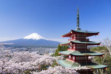 Cherry Blossoms at Lake Kawaguchi & Five-story Pagoda, Day Trip from Tokyo