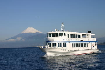 Day Trip to Suruga Bay including Illumination Viewing from Tokyo