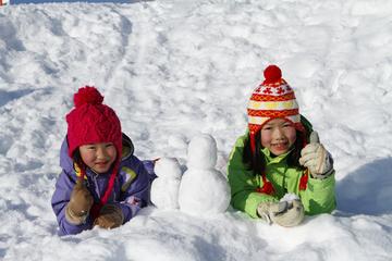 Day Trip to Tanbara Snowland Including Lunch and Trip to Strawberry Farm from Tokyo