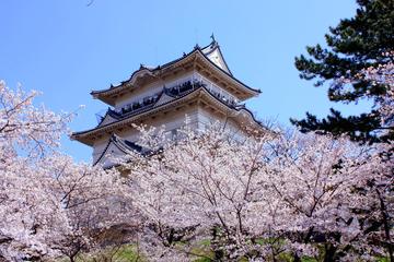 Day Trip to the Odawara Castle Park Including Pirate Ship Cruise and Visit to Strawberry Farm
