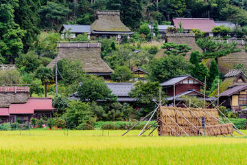 Full-Day Kyoto Tour from Osaka Including Amanohashidate