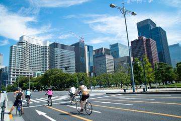 Half-Day Tokyo Cycling Tour with an English-Speaking Professional Guide