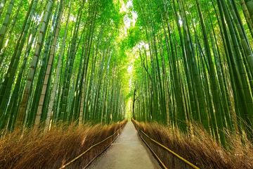 Private Full-Day Charter Tour: Kyoto, Osaka, and Nara Sightseeing from Kyoto