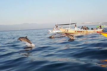 Bali Dolphin Sunrise Tour