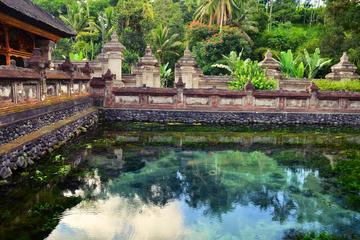Private Shore Excursion: Highlights of Bali