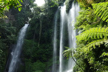 Private Tour: Sekumpul Waterfalls Hiking Tour
