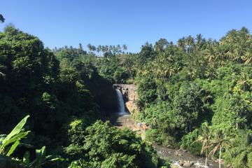 Tegenungan Waterfalls Hiking Tour