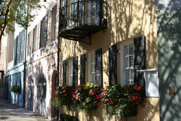 Day Trip Charleston's Most Beautiful Walk near Charleston, South Carolina 