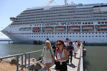 One day tour to Giza Pyramids , Egyptain Museum , old market from Safaga port