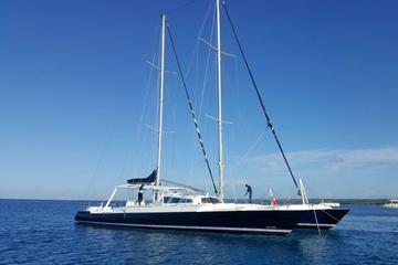 Private Punta Cana Catamaran Cruise to Saona Island