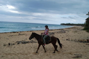 Punta Cana Horseback Riding on the Beach