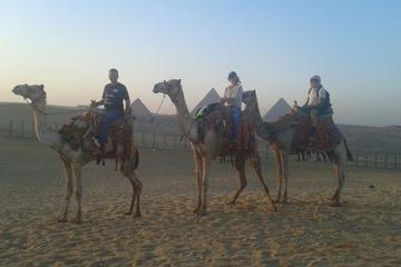 1 Hour Camel ride trip at Giza Pyramids