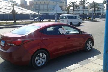 Private Transfer from Cairo airport to Pyramids area